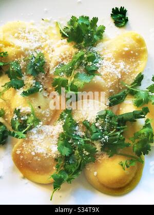 Gros plan de raviolis fraîchement cuits dans une sauce au citron avec garniture de coriandre Banque D'Images