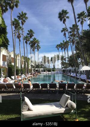 Piscine au Delano à South Beach, Miami. Banque D'Images