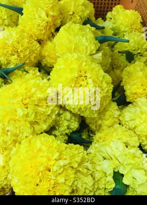 Fleurs Marigold dans le panier à vendre à singapour, les fleurs largement cultivées sont utilisées dans les têtes de fleurs hindous-Marguerite comme ou double Carnation, fleurs jaunes Banque D'Images