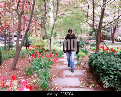 Un homme mature portant un masque facial se promo dans les greens de la ville de Tudor au printemps 2020, pendant la pandémie de COVID-19, New York, États-Unis Banque D'Images
