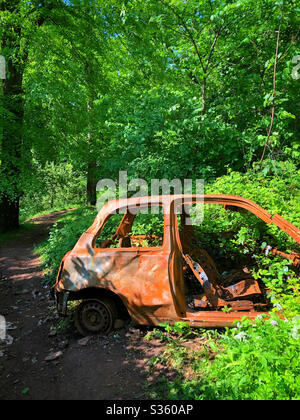 Ancienne voiture abandonnée dans la forêt près de Cardiff. Banque D'Images