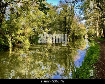 Matin de printemps sur le canal de Grand Union dans le Northamptonshire près de Bugbrooke Banque D'Images