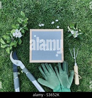 J'adore votre jardin. Concept de jardinage avec tableau de lettres en feutre, pruneau à main, gants sales et une branche élatée avec fleur d'un pommier sur une pelouse verte Banque D'Images