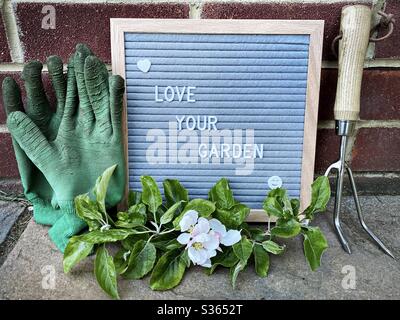 J'adore votre jardin. Concept de jardinage avec tableau de lettres en feutre, pruneau à main, gants sales et une branche élagué avec fleur d'un pommier sur un patio en pierre Banque D'Images