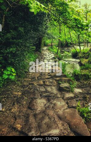 Ancien chemin avec pierre de York dans la vallée de Rivelin Sheffield Banque D'Images