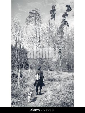 Chien de marche dans les bois Banque D'Images