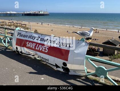 Bannière montrant Gardez votre distance sur le front de mer de Brighton pendant le verrouillage avec un mouette perchée 19 heures sur 24, 05/20 jours sur 7 Banque D'Images