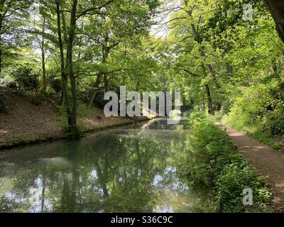 Vue générale sur le canal de Basingstoke près d'Odiham, dans le Hampshire, en Angleterre Banque D'Images