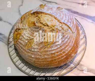 Boule de levain fraîchement cuite sur grille de refroidissement Banque D'Images