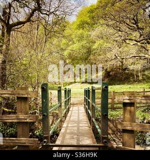 Vue sur une petite passerelle avec des lignes de conduite vers des arbres verts luxuriants dans une forêt britannique dense et mature. Sentier pittoresque dans les bois avec pont en acier en premier plan Banque D'Images