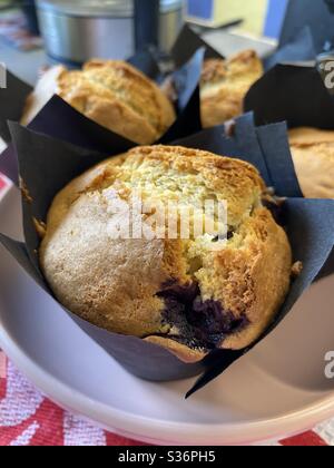 Des muffins aux bleuets Banque D'Images