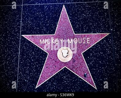 Hollywood, Californie/États-Unis. 1er août 2019. La star de Mickey Mouse sur le Walk of Fame à Hollywood, Californie. Banque D'Images