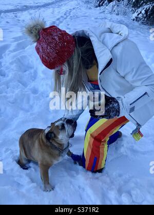 Femme en tenue colorée joue avec un Bulldog dans la neige. Alberta Canada décembre 2020 Banque D'Images