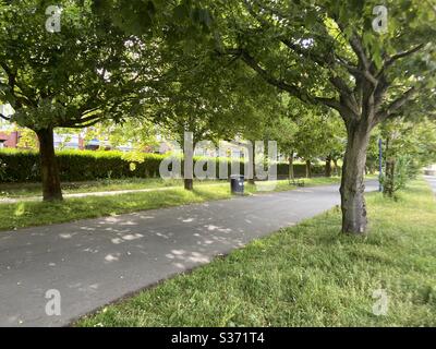 Aberystwyth, pays de Galles de l'Ouest, Royaume-Uni. Mardi 9 juin 2020. News: Ensoleillé et chaud à Aberystwyth dans le parc de Ptas Crug. ©️Rose Voon/ Alamy Live News Banque D'Images