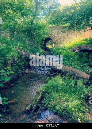 Pont en pierre au-dessus d'un ruisseau boisé avec une passerelle d'arbre déchu et des fleurs colorées. L'eau montre un mouvement de rippement dans une scène paisible. Environnement vert sensation d'extérieur positive avec espace de copie. Banque D'Images