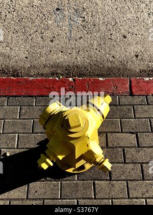 Borne incendie vibrante portant une couche de peinture fraîche à Los Angeles CA 6.13.2020 Banque D'Images