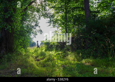 Un jeune homme afro-américain marche seul sur un chemin forestier entouré de vert et de soleil. Concept de poursuite individuelle avec image plein format et espace de copie. Banque D'Images