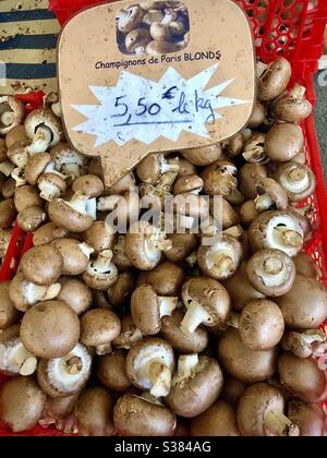 Champignons de Paris blonds à vendre sur le marché français - le blanc, Indre, France. Banque D'Images