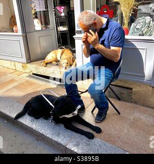 Homme aveugle avec chien guide utilisant un téléphone mobile et un autre chien dans la boutique porte regardant sur - France. Banque D'Images