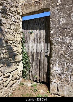 Ancienne porte en bois dans un mur en pierre - France. Banque D'Images