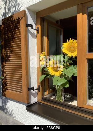 Fenêtre avec des volets décorés d'un bouquet de fleurs de soleil récoltées sur le seuil de la fenêtre dans une maison de ferme bavaroise d'époque Banque D'Images
