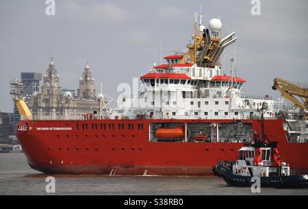 RSS Sir David Attenborough revient à Cammell Laird Banque D'Images