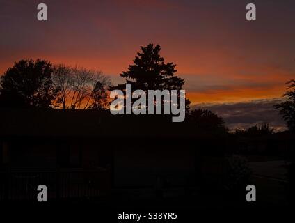 DUBUQUE, IOWA, août 2020--photo de paysage d'un magnifique coucher de soleil orange de l'Iowa après un derecho avec silhouette de gros épinettes en premier plan. Banque D'Images