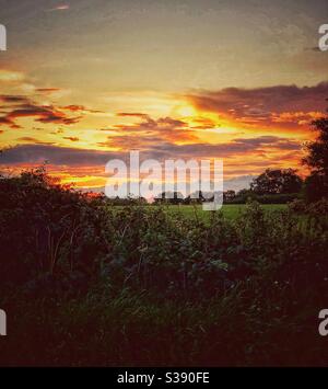 Coucher de soleil sur la campagne du Cheshire. Banque D'Images