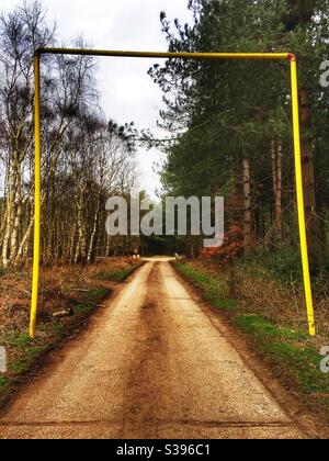 East Gate Road où en 1989, près de la base aérienne américaine de Woodbridge, on croit qu'un OVNI s'est écrasé dans la forêt voisine de Rendelsham. Banque D'Images