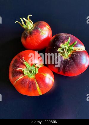 Trois tomates en fleur sur fond noir Banque D'Images