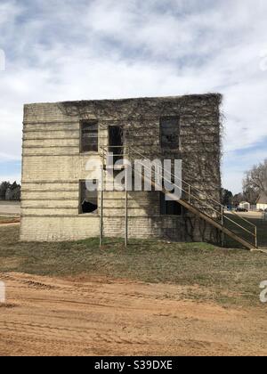 Vignes sur un bâtiment d'école abandonné Banque D'Images