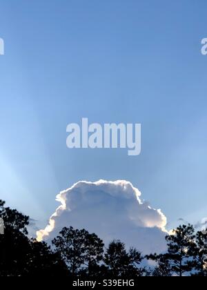 Beaucoup de ciel bleu clair après la tempête les nuages se retirent vers le soleil se coucher derrière eux. Silhouette des arbres au premier plan Banque D'Images