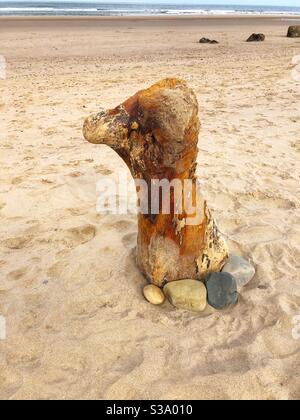 Chien de bois flotté. Création sur Filey Beach, North Yorkshire, Angleterre, Royaume-Uni. Banque D'Images