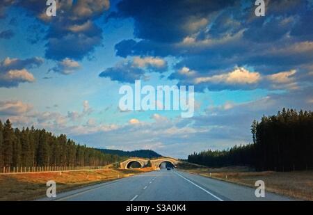 Vers l'Alberta, lever du soleil, autoroute TransCanada, Rocheuses canadiennes, parc provincial de la vallée de la Bow, Alberta. Voyager en Alberta, passe-passage pour animaux sauvages, passe-passage pour animaux Banque D'Images