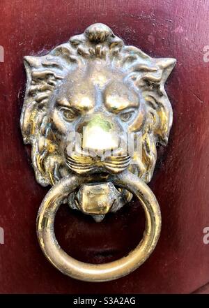 Un knoper de porte à la tête de lions de laiton brillant Banque D'Images