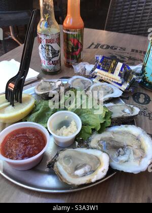 Assiette avec huîtres fraîches et citron sur une table au salon Hogs Breath, Key West Florida Banque D'Images