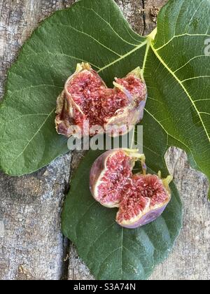 Figues mûres sur une feuille de figues Banque D'Images