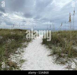 Chemin menant à la plage avec vue sur l'eau du golfe émeraude du Mexique, destin, Floride Banque D'Images