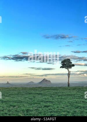 One Tree Hill Maleny Glasshouse Mountains Queensland Lone Tree Banque D'Images