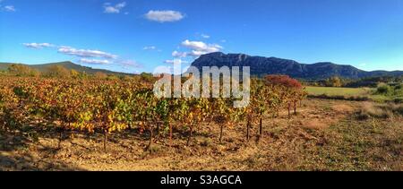 Vue panoramique sur le vignoble de pic St Loup en automne, Herault, Occitanie France Banque D'Images