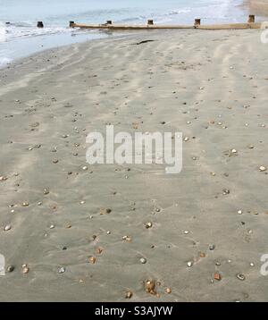 Galets parsemés sur une plage de sable Banque D'Images