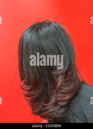 tête de brunettes avec coupe-cheveux longue vue arrière Banque D'Images