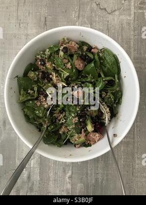 Salade de thon, de haricots, d'avocat et de quinoa servie dans un bol blanc Banque D'Images