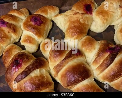 Croissants du pavot Banque D'Images