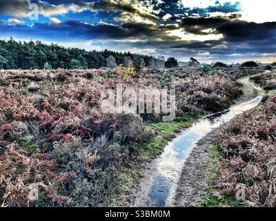 Long and winding road Banque D'Images