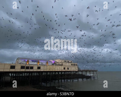 Aberystwyth, pays de Galles de l'Ouest, Royaume-Uni. Mercredi 9 décembre 2020. Météo : des milliers d'étoiles ont éclaté sous le Royal Pier. Crédit photo ©️Rose Voon / Alamy Live News. Banque D'Images