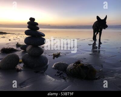 Chien et pile de rochers devant un coucher de soleil sur la plage Banque D'Images