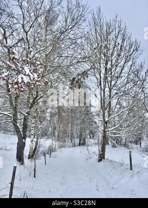 Chemin dans la neige en Savoie France Banque D'Images