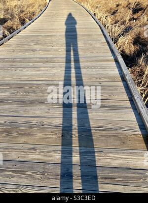 Ombre allongée d'une femme sur une promenade en bois Banque D'Images