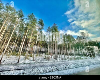 Hiver à Podlasie, dans la région de l'est de la Pologne, près de la frontière avec la Biélorussie. Route entre Bialystok- Hajnowka. Banque D'Images